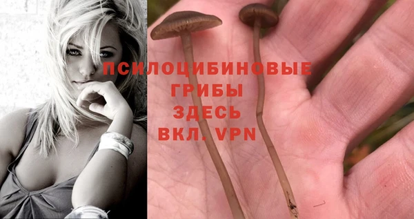 MDMA Покров