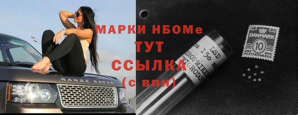 ECSTASY Пересвет