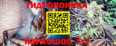 индика Донецк