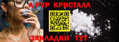 спиды Донской
