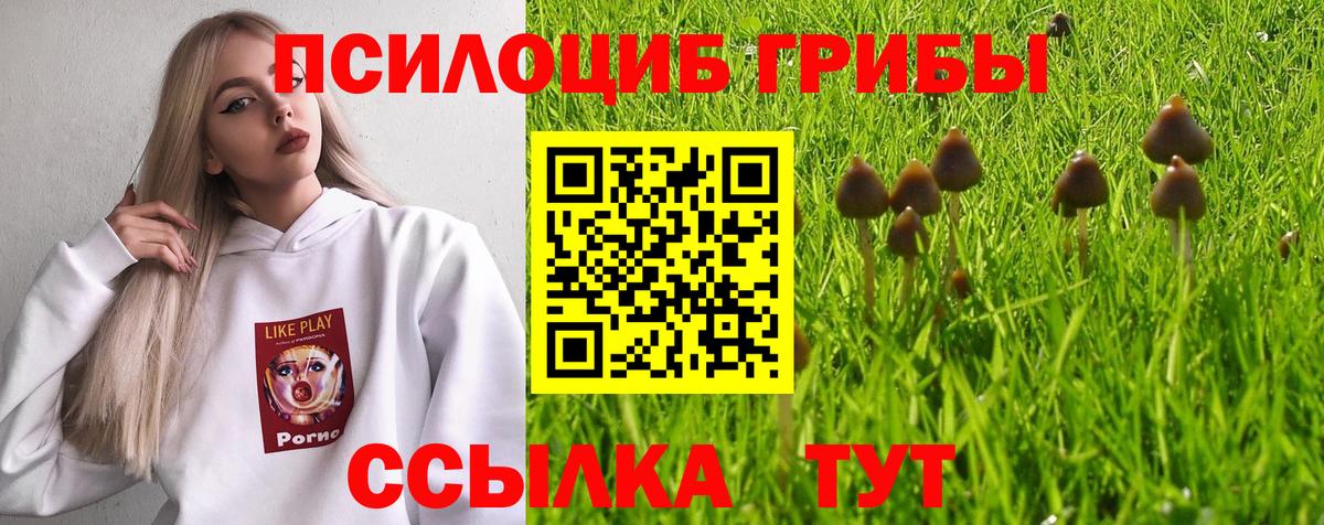 Галлюциногенные грибы прущие грибы  Псилоцибиновые грибы Psilocybe  купить наркотики сайты  Менделеевск 