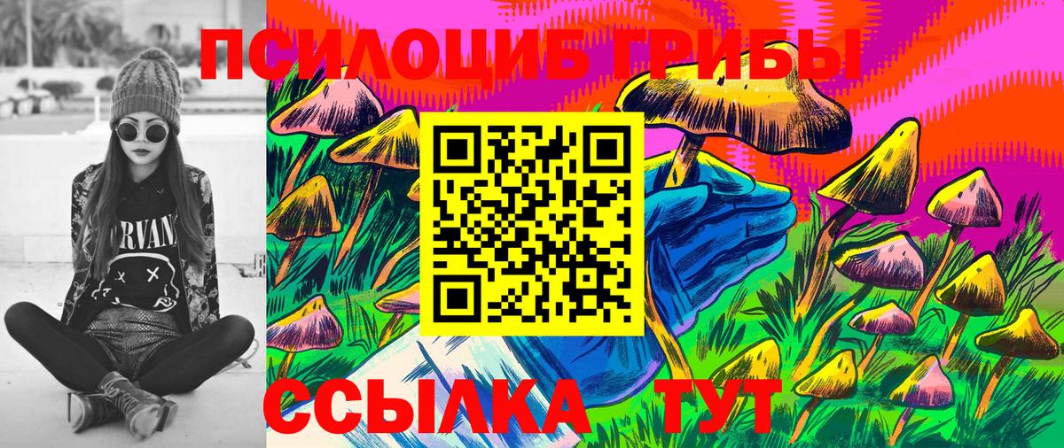 Менделеевск  Псилоцибиновые грибы мицелий  Псилоцибиновые грибы ЛСД  Вход с VPN 